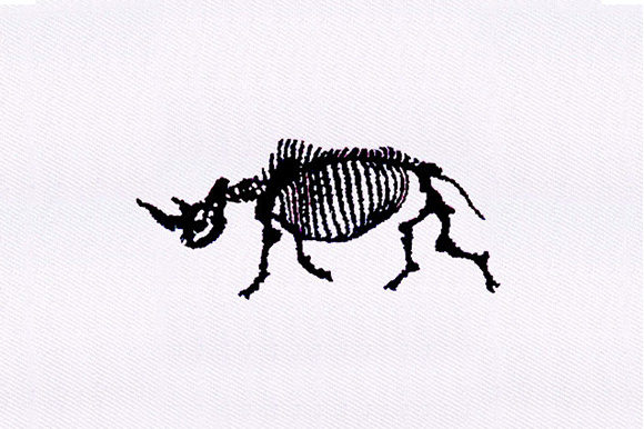 Rhinoceros Skeleton Design: Boutique Apparel Review